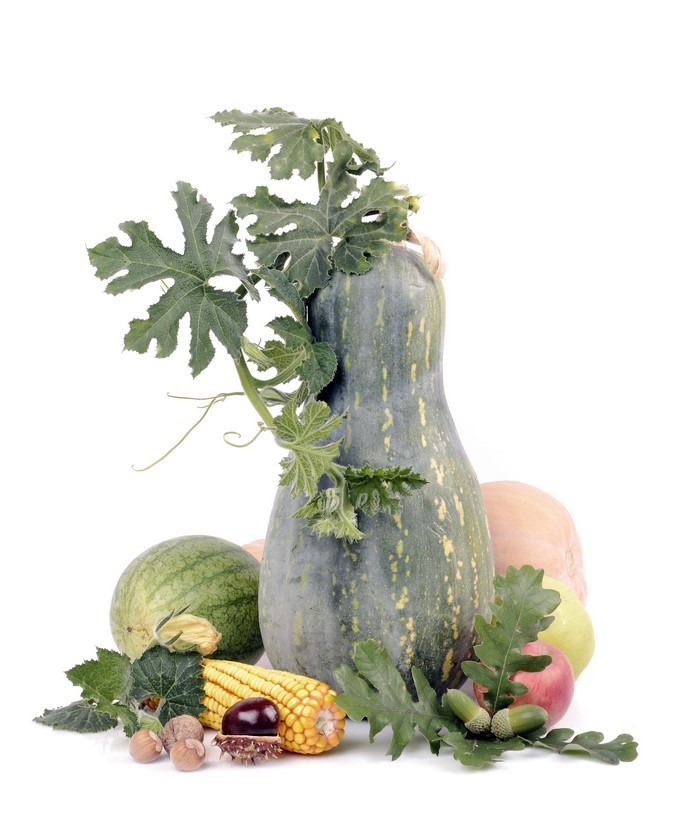 Assortment of gourds, corn, nuts, and fruit on white background