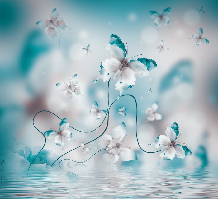 Butterflies and Irises reflected in water