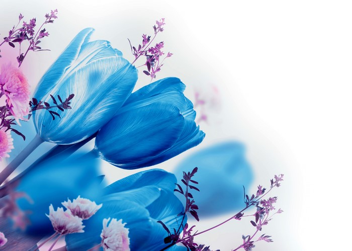 Blue Tulips with Purple Flowers and Branches