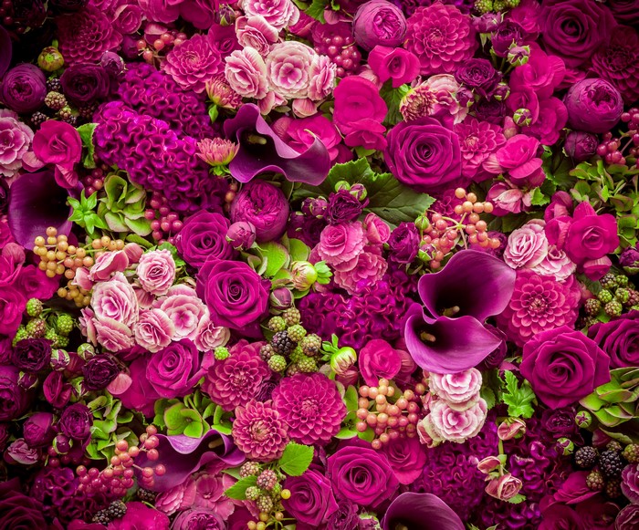 Roses, Callas, and Violet Flowers Arrangement