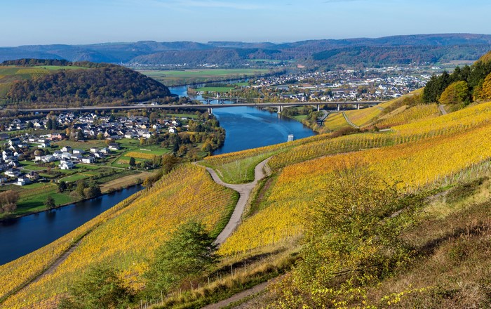 Vineyards and River in Autumn, Germany