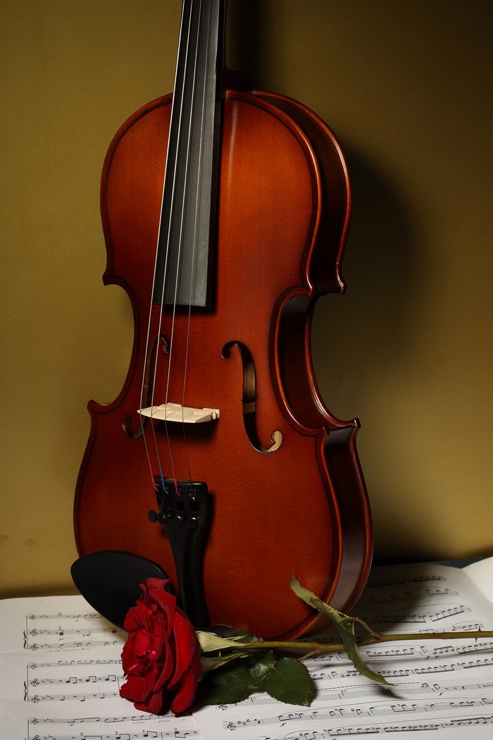 Violin with Red Rose and Sheet Music