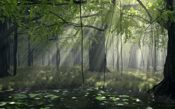 Sunlight filtering through a dense forest with hanging vines