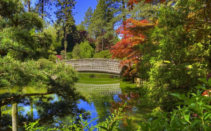 Japanese Garden with Wooden Bridge and Pond in Spokane, Washington