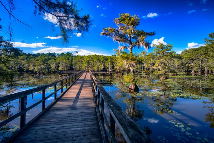 Wooden boardwalk over Caddo Lake in Texas