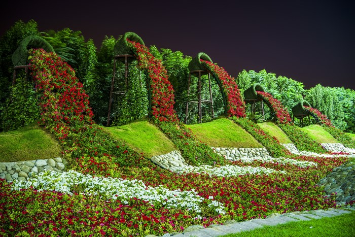 4K Miracle Garden Dubai Flower Design