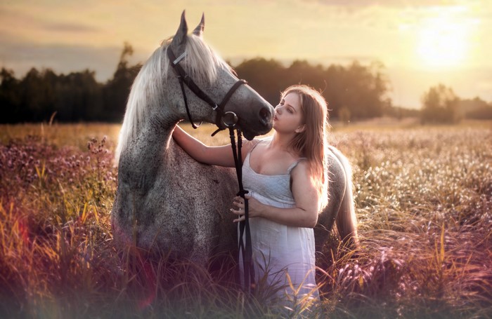 Kleofia model, Horses, Brown haired, HD Wallpaper | Rare Gallery