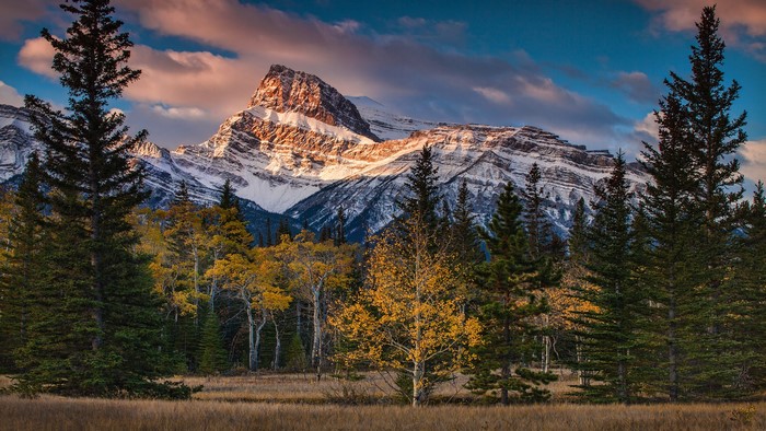 Snow-capped mountains in autumn with pine and aspen trees