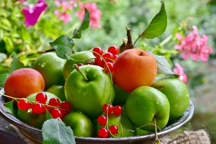Bowl of green apples, apricots, and red currants