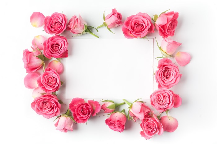 Pink Roses and Blank Card Template