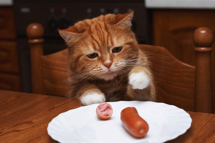 Ginger cat looking at sausages on a plate