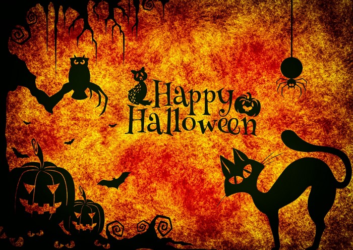 Happy Halloween with Black Cat and Pumpkins
