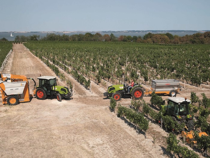 Claas Nexos 240 F tractors in a vineyard