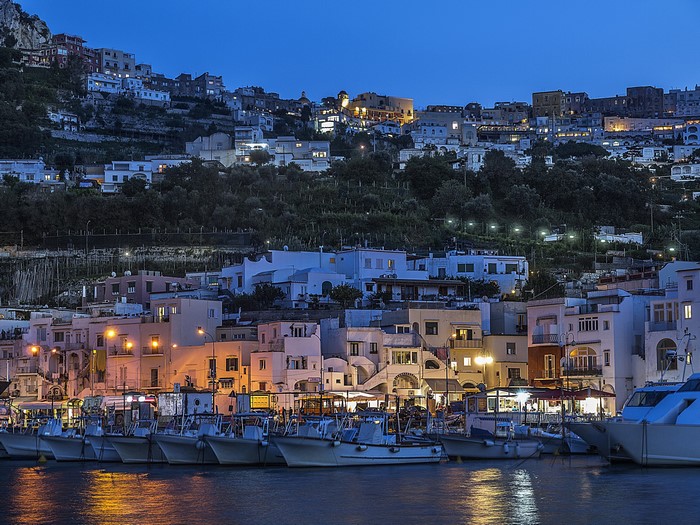 Marina at Dusk with Boats and Hillside Town
