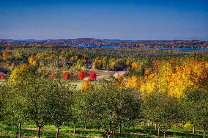 Autumn Scenery in Leelanau, Michigan, USA