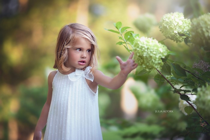 Little girl in white dress near Hydrangea by Julia Altork