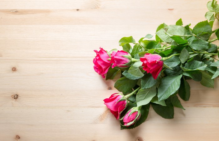 Pink Roses on Wood Planks