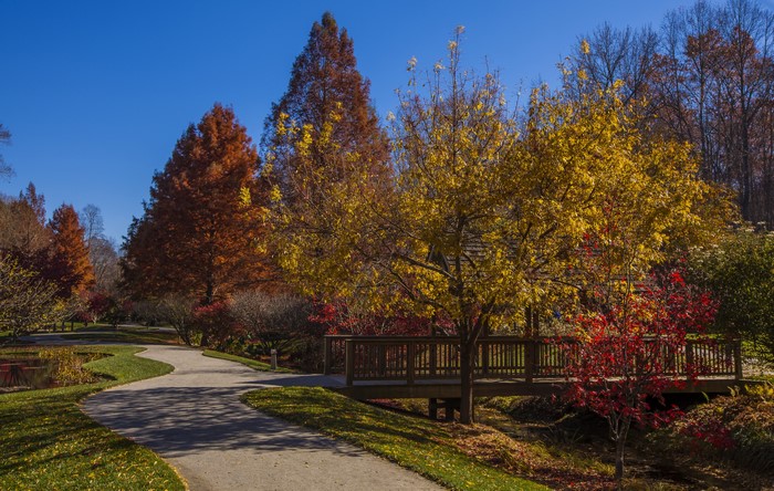 Gibbs Gardens in Autumn with a Wooden Bridge