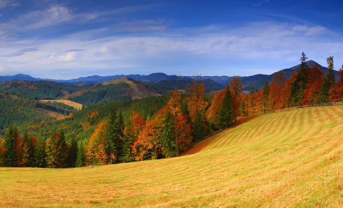 Autumn Mountains and Forests in Zakarpattia, Ukraine