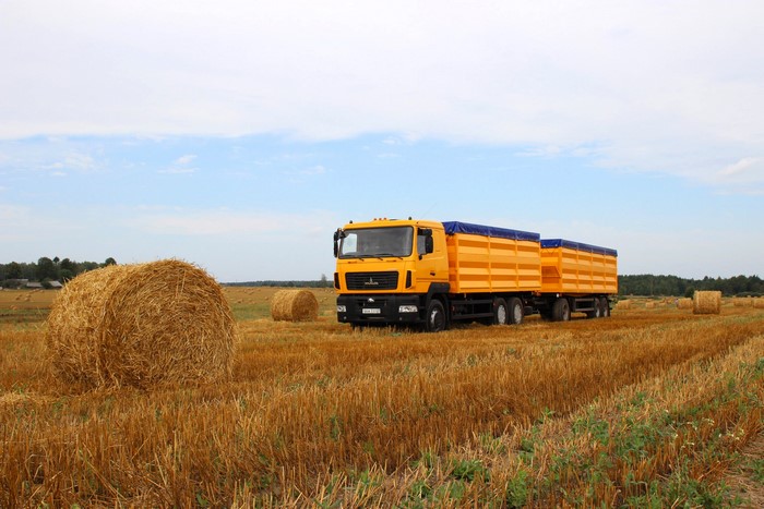 Yellow MAZ-6501A8 Truck with Trailers in a Field