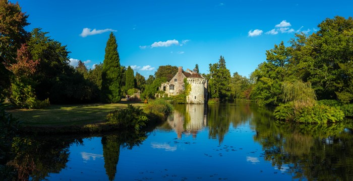 Scotney Castle, United Kingdom, Pond, Trees