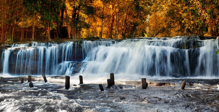 4K Autumn Waterfalls in Forest