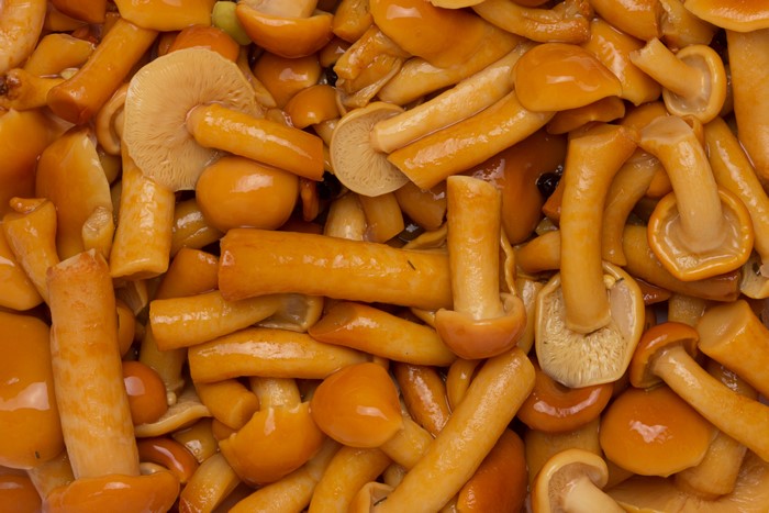 Many Marinated Mushrooms