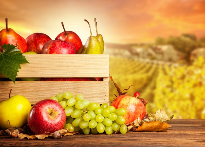 Apples, Grapes, and Pears in a Crate with Vineyard Background