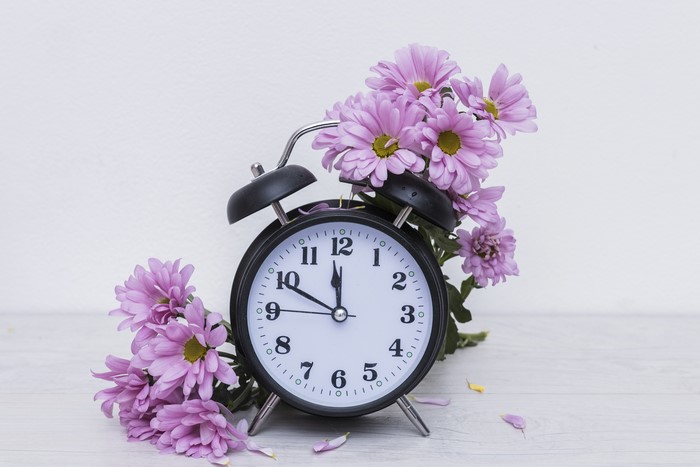 Alarm clock with pink chrysanthemums