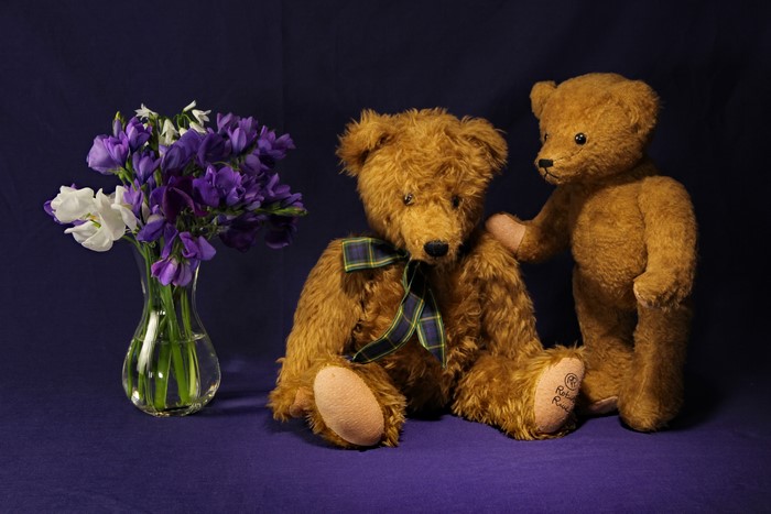 Two teddy bears and a vase of freesias