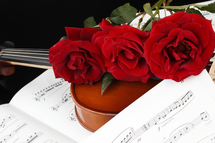 Red Roses on Violin and Sheet Music