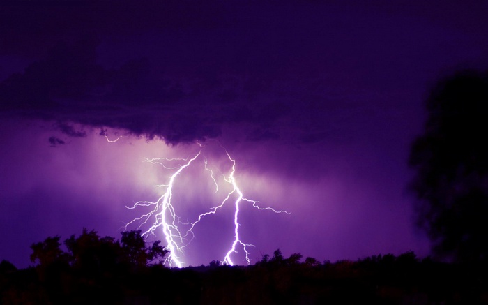 Lightning strikes during a purple thunderstorm over trees