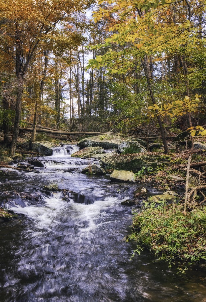 Autumn forest stream with fallen trees and rocks