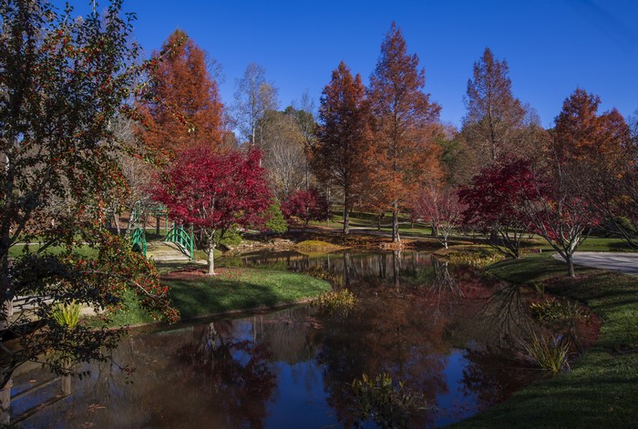 Autumn at Gibbs Gardens with Pond and Trees