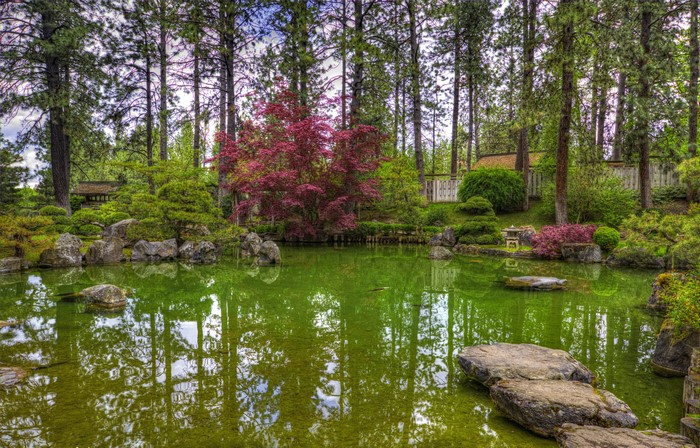 Spokane Japanese Garden Pond with Trees and Shrubs