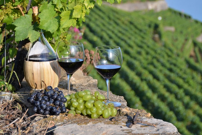 Wine bottle, glasses, and grapes in a vineyard