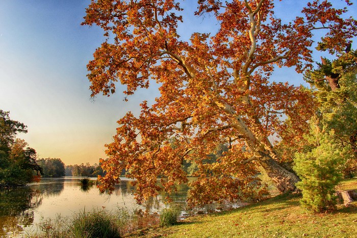 Autumn trees by a lake in Lednice, Czech Republic