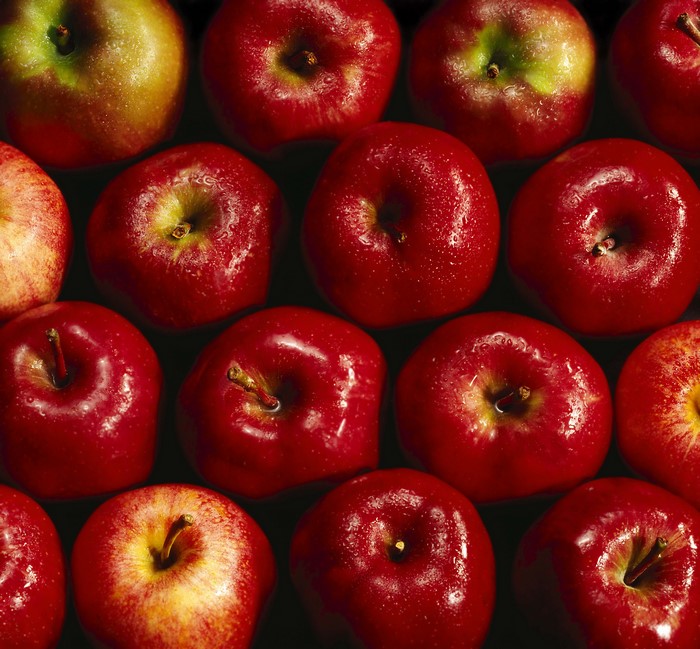 Red apples with water drops