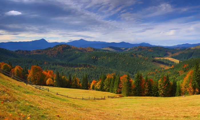 Autumn mountain landscape with colorful trees in Ukraine