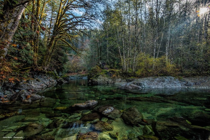 4K Little Nitinat River Forest with Rays of Light