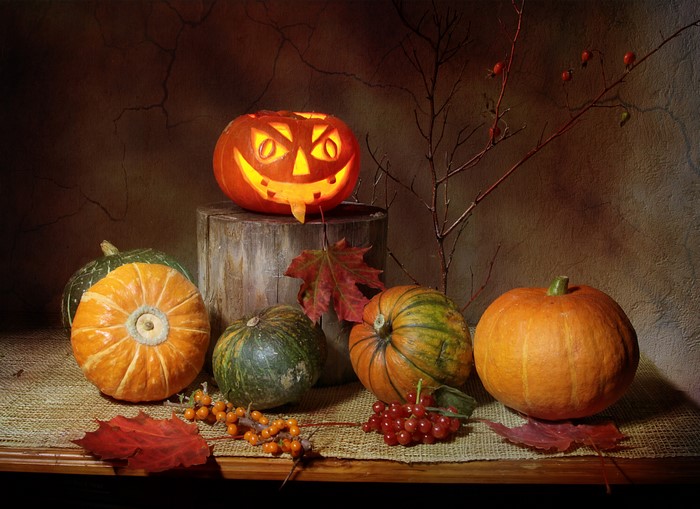 Halloween still-life with carved pumpkin and gourds