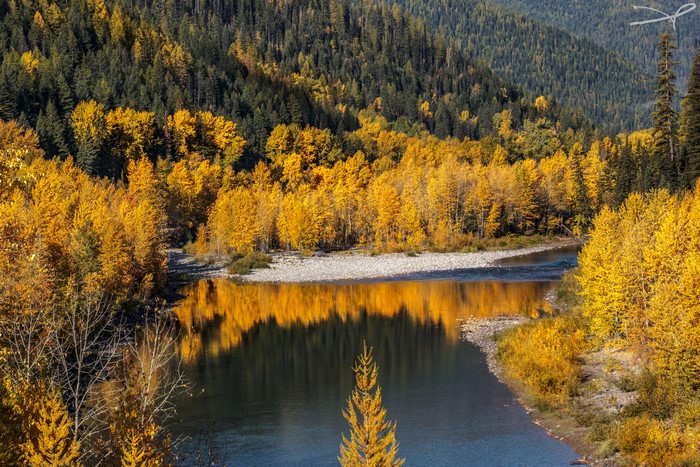 Middle Fork River in Autumn Forest, USA