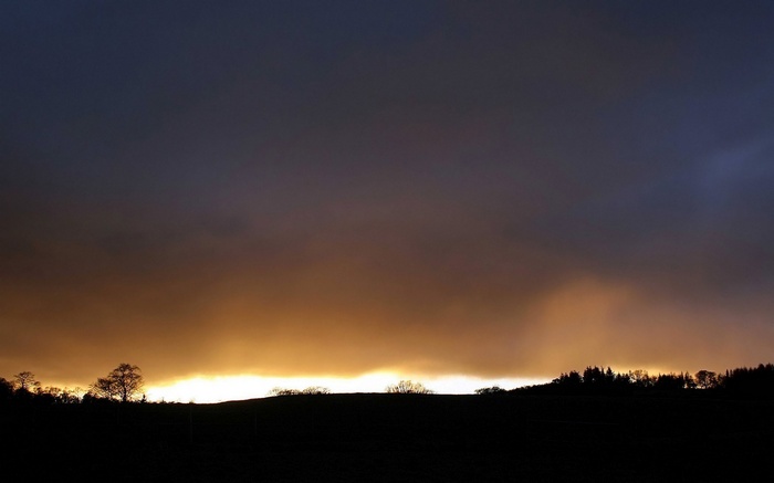 Silhouette of trees against a dramatic sunset sky