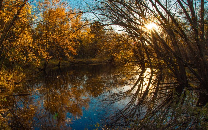 Autumn trees reflecting in a river with sun rays