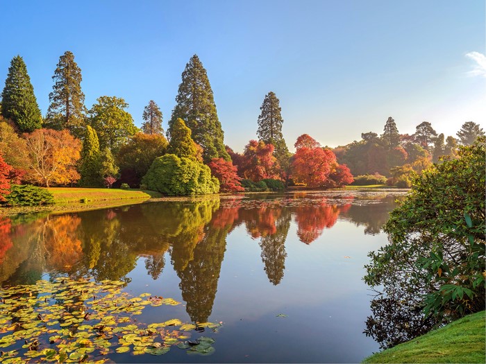 Sheffield Park, England - Autumn Pond and Trees