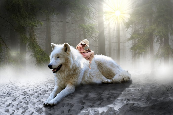 Girl reading on a wolf in a foggy forest