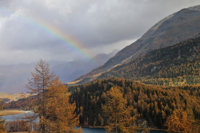 Mountains with forest and rainbow
