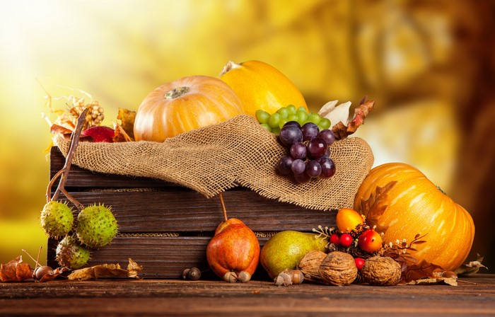 Autumn harvest of pumpkins, pears, grapes, and nuts