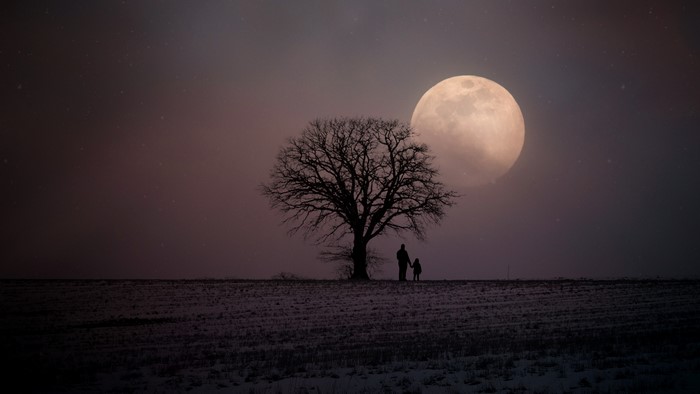 Silhouette of a tree and two people under the moon