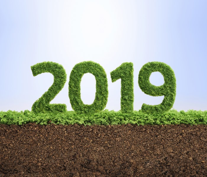 2019 grass numbers on soil